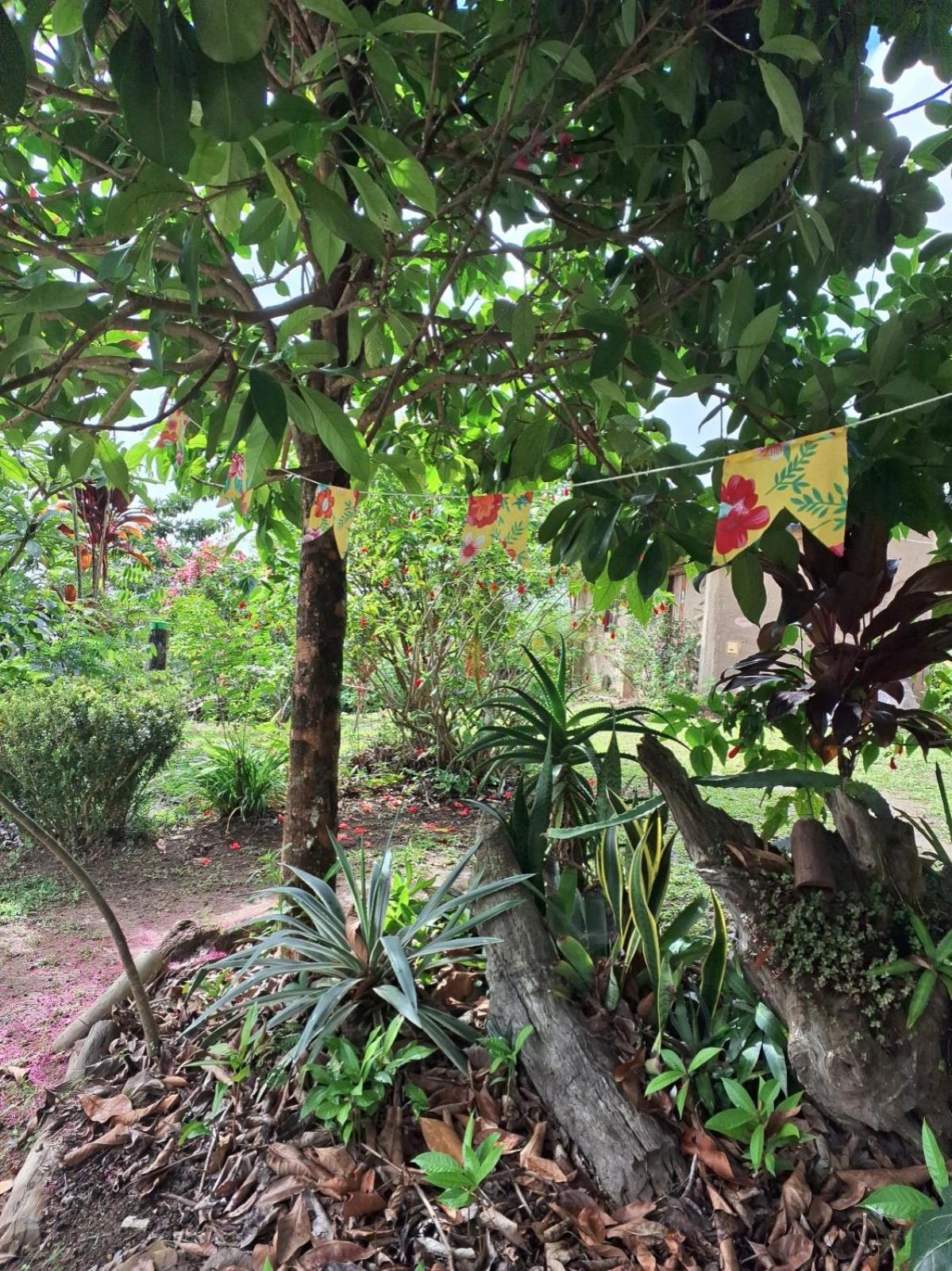 Sitio Monte Alegre * Ibicoara