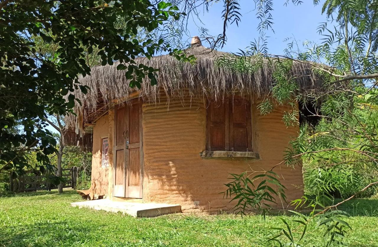 Sítio Monte Alegre *